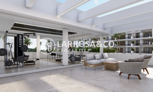 Новостройка - Пентхаус - Гуардамар дель Сегура - Эль Расо