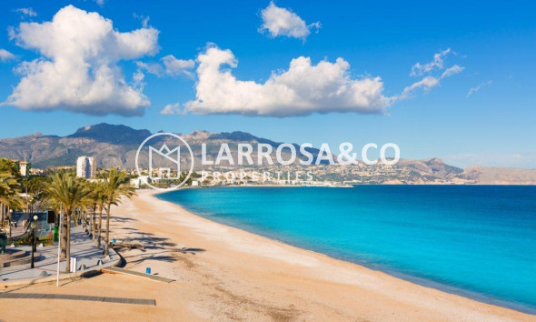 Obra Nueva - Chalet - Alfas del Pi - El Albir