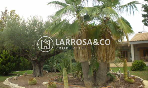 Resale - Detached House/Villa - Elche - Corte Ingles