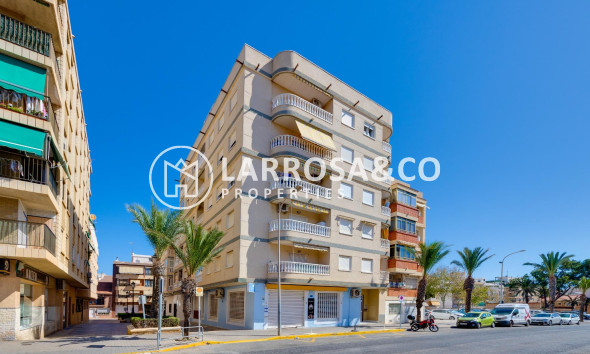 Reventa - Apartamento - Guardamar del Segura - Pueblo