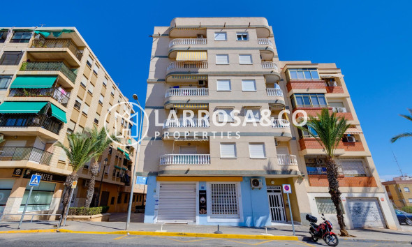 Reventa - Apartamento - Guardamar del Segura - Pueblo