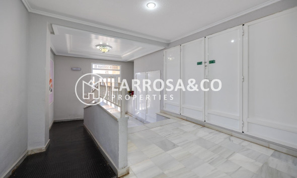 Reventa - Apartamento - Guardamar del Segura - Pueblo