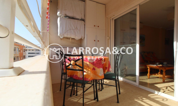 Reventa - Apartamento - Torrevieja - Estacion de autobuses