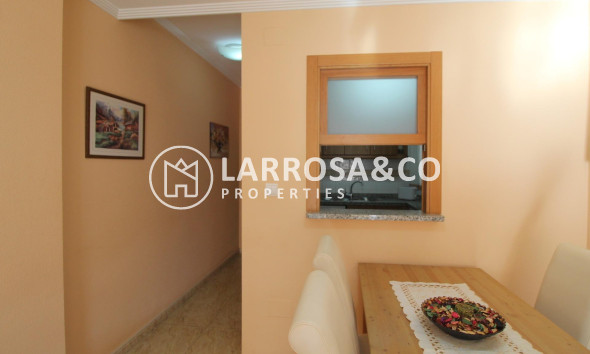 Reventa - Apartamento - Torrevieja - Estacion de autobuses
