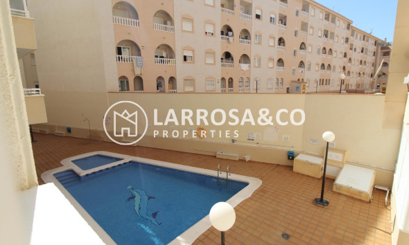 Reventa - Apartamento - Torrevieja - Estacion de autobuses