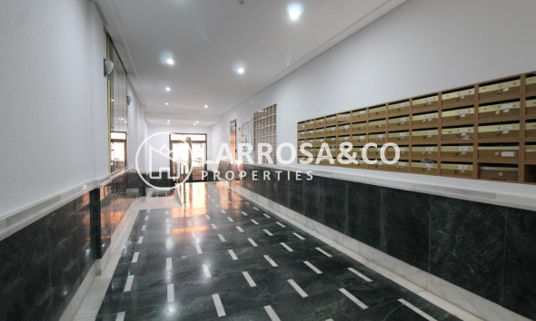 Reventa - Apartamento - Torrevieja - Estacion de autobuses