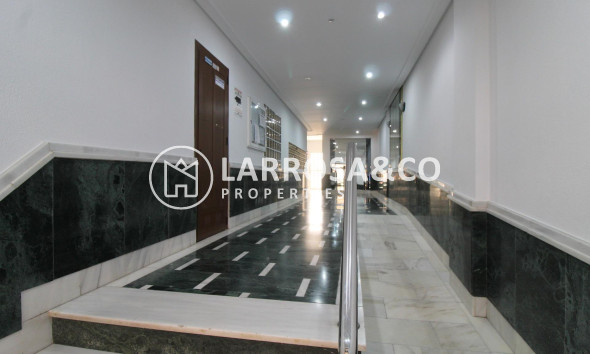 Reventa - Apartamento - Torrevieja - Estacion de autobuses