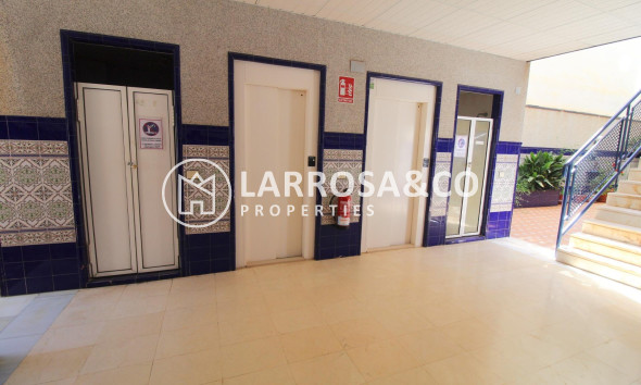 Вторичный рынок - Квартира - Торревьеха - Habaneras