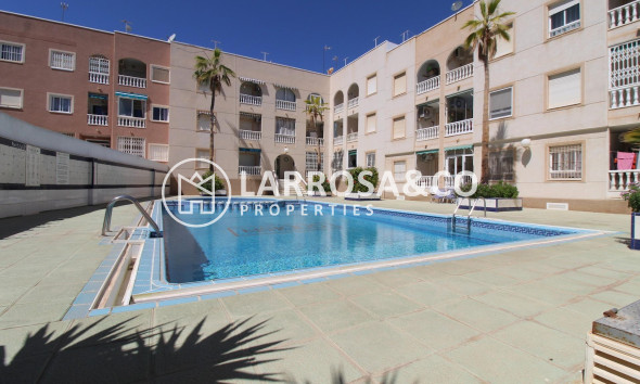 Вторичный рынок - Квартира - Торревьеха - Curva del Palangre