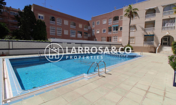 Вторичный рынок - Квартира - Торревьеха - Curva del Palangre