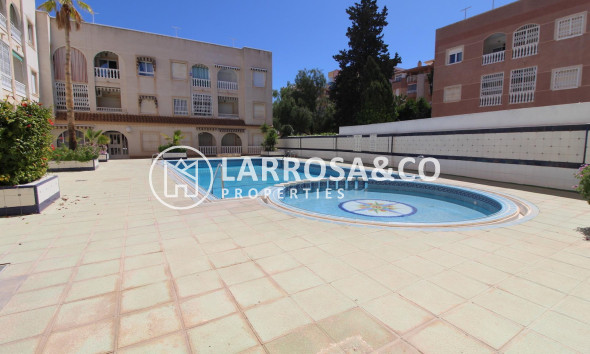 Вторичный рынок - Квартира - Торревьеха - Curva del Palangre