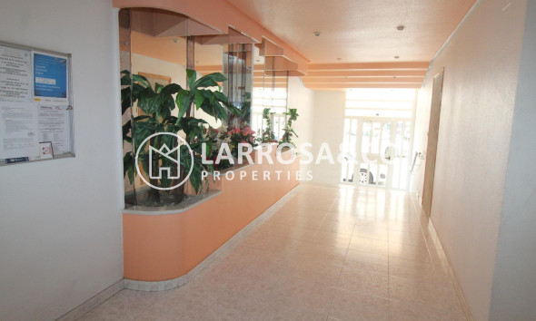 Вторичный рынок - Квартира - Торревьеха - Curva del Palangre