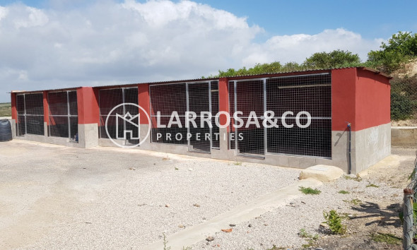 Вторичный рынок - Загородный дом - Лос Монтесинос - LOS MONTESINOS