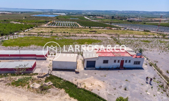 Вторичный рынок - Загородный дом - Лос Монтесинос - LOS MONTESINOS