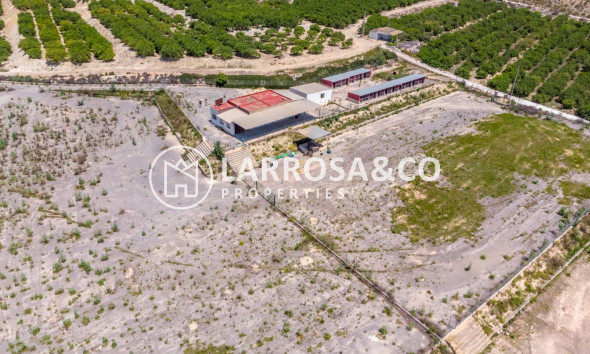 Вторичный рынок - Загородный дом - Лос Монтесинос - LOS MONTESINOS