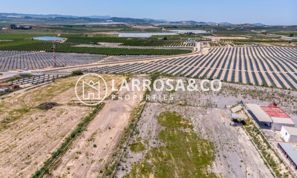 Вторичный рынок - Загородный дом - Лос Монтесинос - LOS MONTESINOS