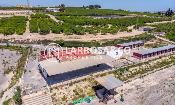 Вторичный рынок - Загородный дом - Лос Монтесинос - LOS MONTESINOS