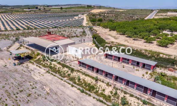 Вторичный рынок - Загородный дом - Лос Монтесинос - LOS MONTESINOS