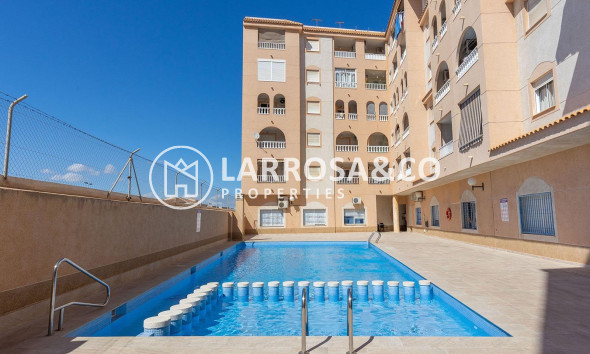 A Vendre - Penthouse  - Torrevieja - El molino