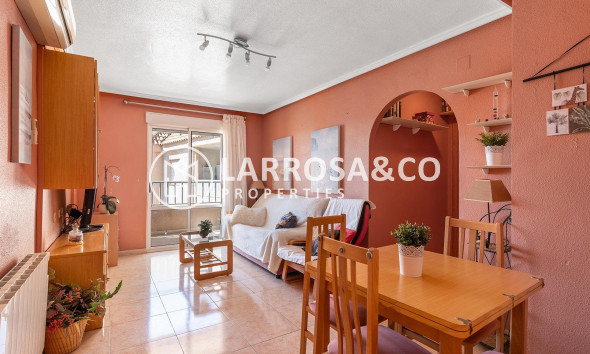 A Vendre - Penthouse  - Torrevieja - El molino