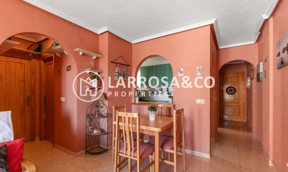 A Vendre - Penthouse  - Torrevieja - El molino