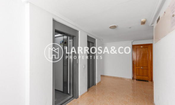 A Vendre - Penthouse  - Torrevieja - El molino
