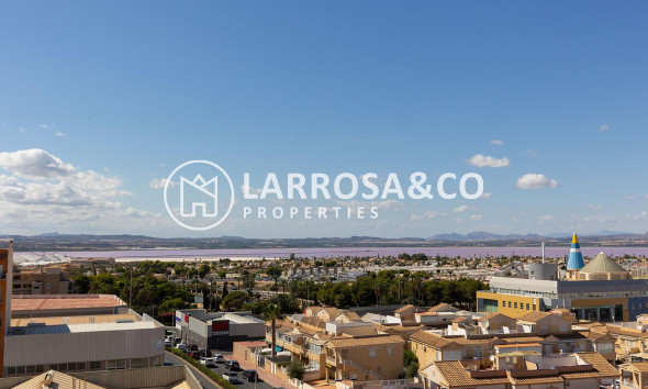 A Vendre - Penthouse  - Torrevieja - El molino