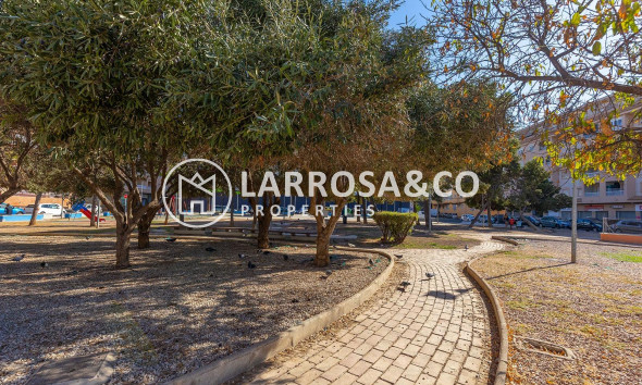 A Vendre - Penthouse  - Torrevieja - El molino