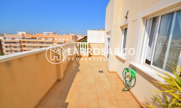 Долгосрочная аренда - Пентхаус - Торревьеха - Playa del cura