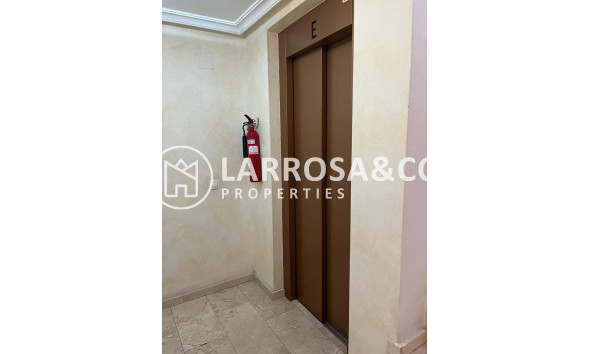 Reventa - Apartamento - Almoradí