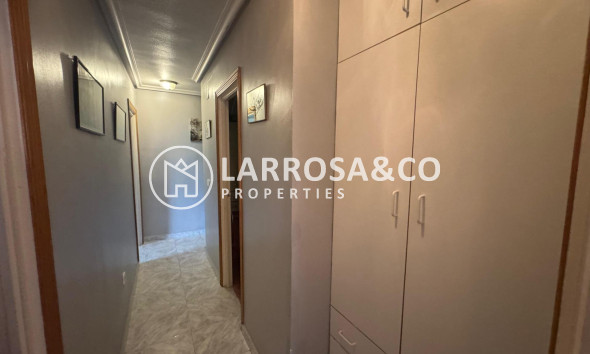 Вторичный рынок - Квартира - Торревьеха - Acequion