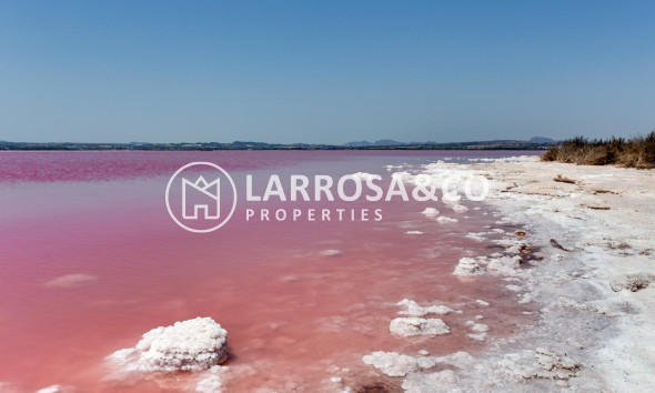 Вторичный рынок - Таунхаус - Торревьеха - Paraje natural