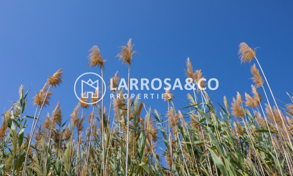 Вторичный рынок - Таунхаус - Торревьеха - Paraje natural