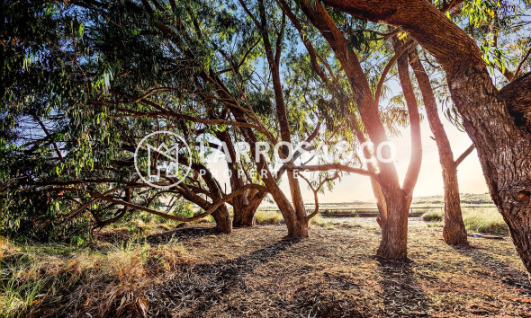 Вторичный рынок - Таунхаус - Торревьеха - Paraje natural