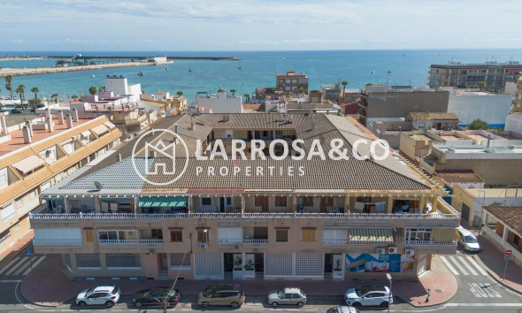 New build - Apartment - Torrevieja - Playa Los Naufragos