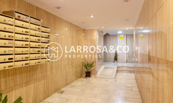 Alquiler larga estancia - Local - Orihuela - Zona Centro