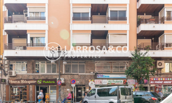 Alquiler larga estancia - Local - Orihuela - Zona Centro