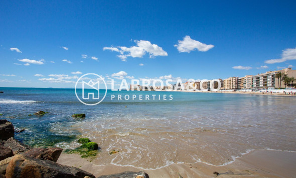 Resale - Apartment - Torrevieja - Centro - Muelle Pesquero