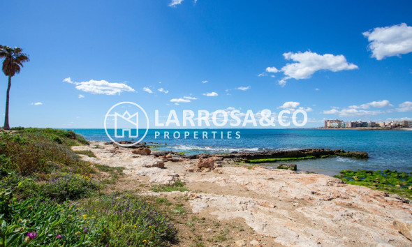Resale - Apartment - Torrevieja - Centro - Muelle Pesquero