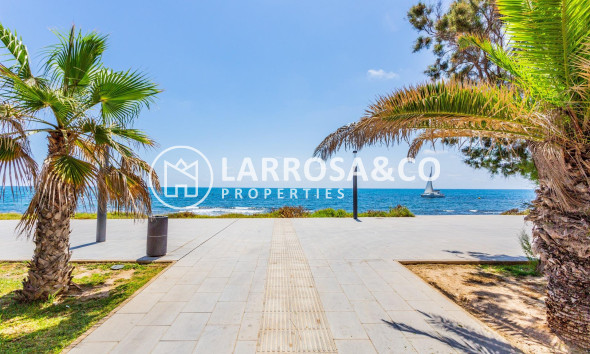 Resale - Apartment - Torrevieja - Playa del cura