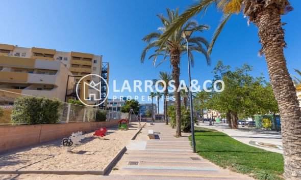 Resale - Ground floor apartment - Torrevieja - Estacion de autobuses