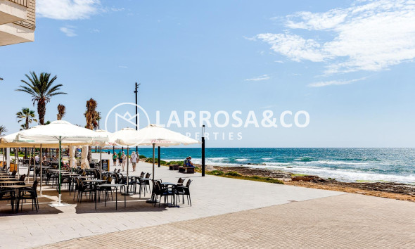 Reventa - Apartamento - Torrevieja - Playa del cura