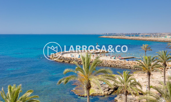 Reventa - Apartamento - Torrevieja - Playa del cura
