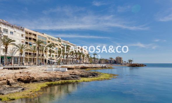 Reventa - Apartamento - Torrevieja - Playa del cura