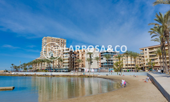 Reventa - Apartamento - Torrevieja - Playa del cura