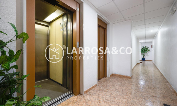 Reventa - Apartamento - Torrevieja - Playa del cura