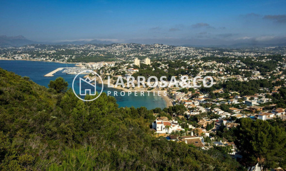 New build - Detached House/Villa - Els Poblets - Partida Barranquets