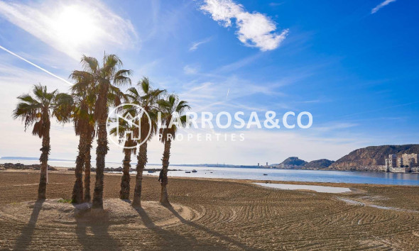 New build - Detached House/Villa - Els Poblets - Partida Barranquets