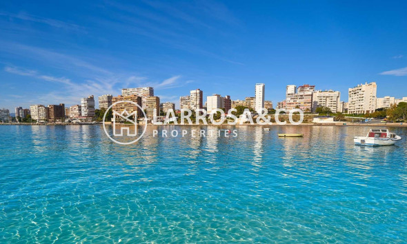 New build - Detached House/Villa - Els Poblets - Partida Barranquets