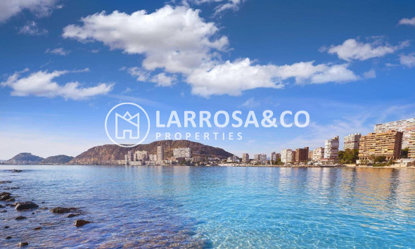 New build - Detached House/Villa - Els Poblets - Partida Barranquets